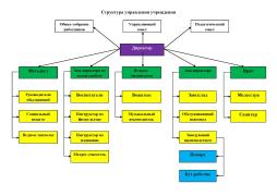 Структура управления учреждения
